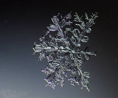 .:snowflake:.