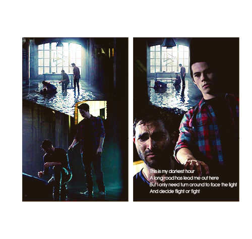 Sterek Window Sterek Campaign Graphic #3 by fantacfan on DeviantArt