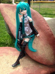 Miku in the Park 3