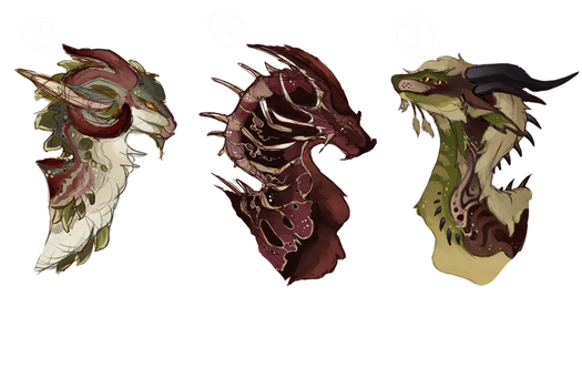 Dragon Adding DuskShadowDraws on DeviantArt