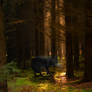 Unfortunate Solitude