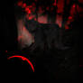 i see in black and red