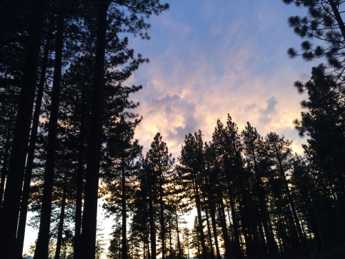 Sunset at Lake Tahoe