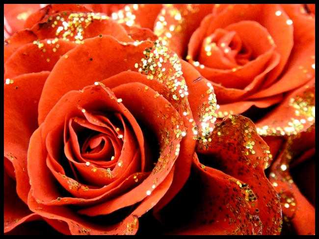 Sparkling roses by spiderman2536 on DeviantArt