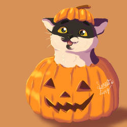 PumkinCat