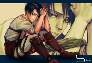 Levi