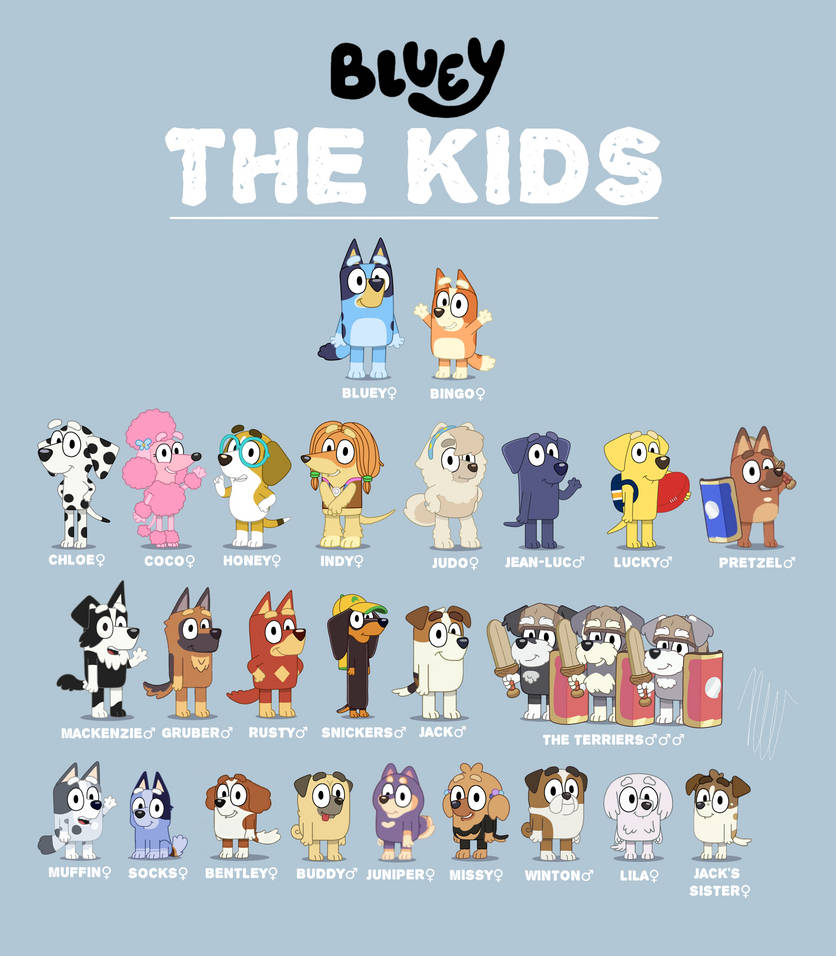 bluey children character sheet by flutteryoshi952 on DeviantArt