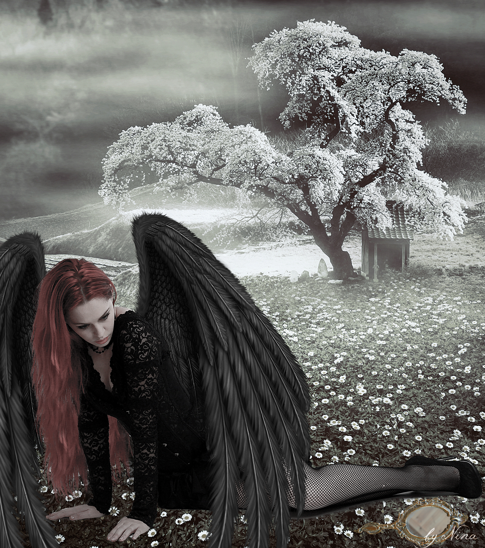 Dark Angel