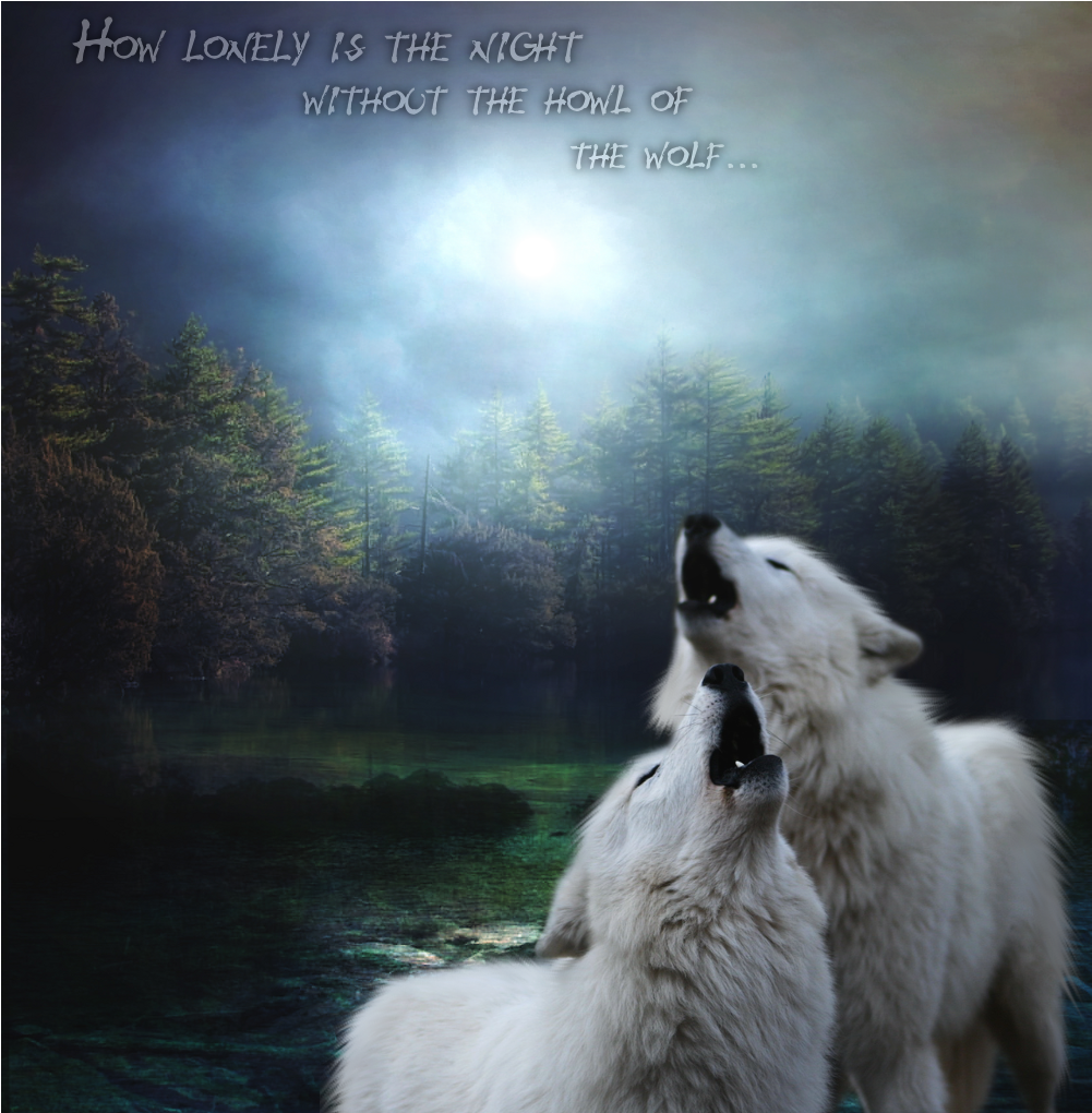 Song of the Wolf