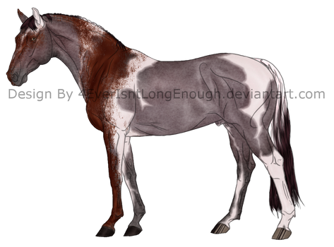 CE: Gray (Bay Roan) Bloody Shoulder Design