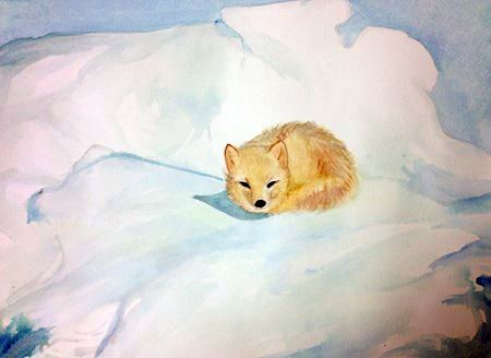 Watercolor Arctic Fox