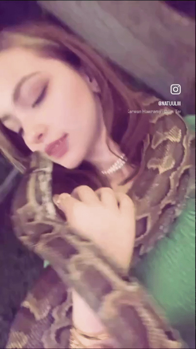 Python Coiled Woman Where the Coil Rests - Woman with a snake P2 by GundamMMM on DeviantArt