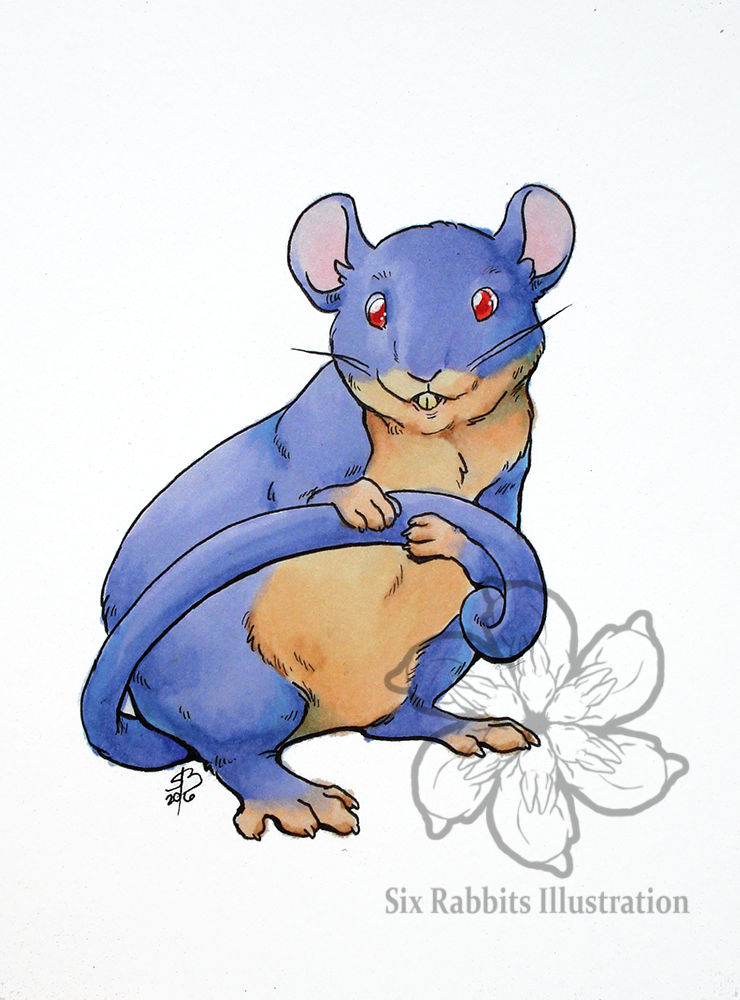 Rattata by six-rabbits on DeviantArt