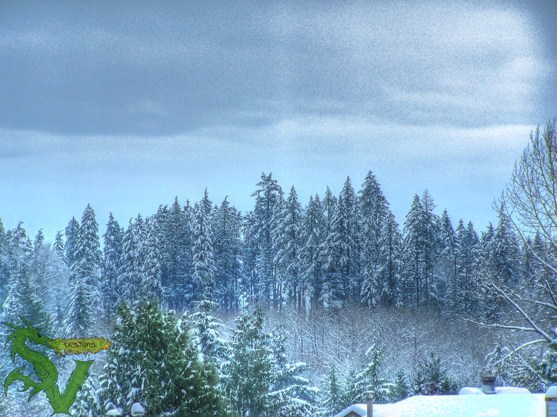 Distant Snowy Trees HDR