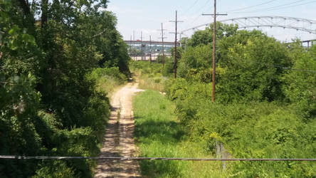 Long Dirt Road