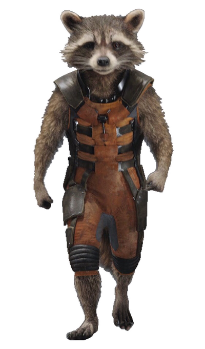 Origins Of Rocket Raccoon
