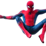Peter Parker/ Spider-Man 11