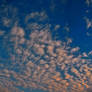 Mackerel sky