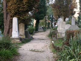 cemetery alley 8