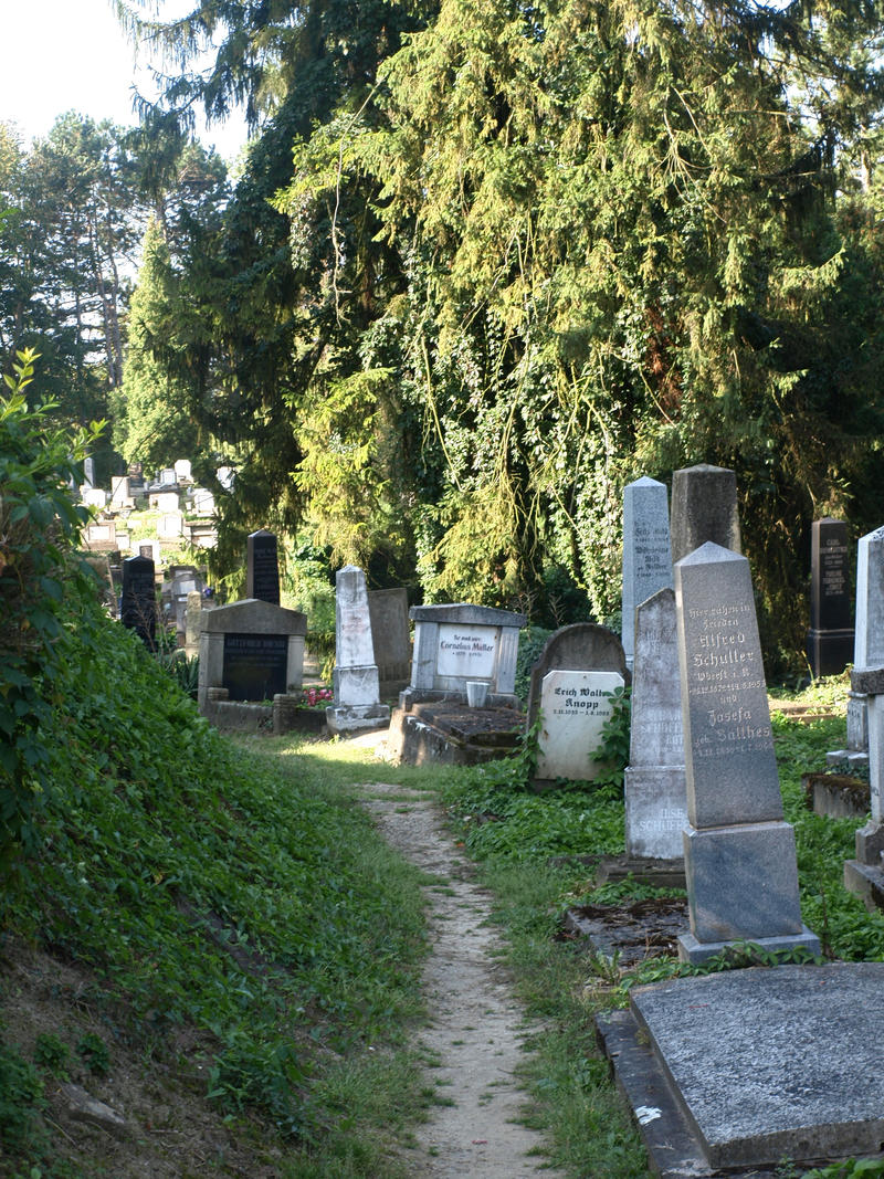 Cemetery path by dreamlikestock on DeviantArt