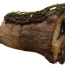 wood log PNG