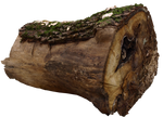 wood log PNG by dreamlikestock