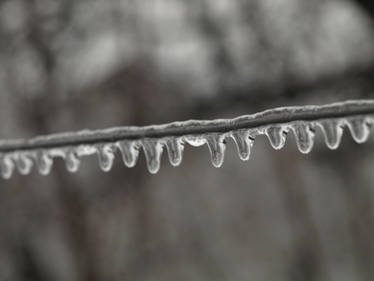 Icicles 15