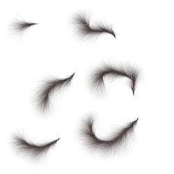 Tails 2 PNG
