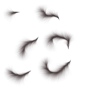 Tails 2 PNG