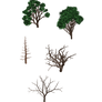 small trees 2 PNG