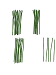 bamboo PNG