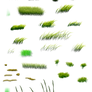 grass weeds 2 PNG