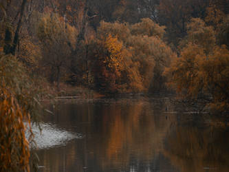 Autumn background stock 3