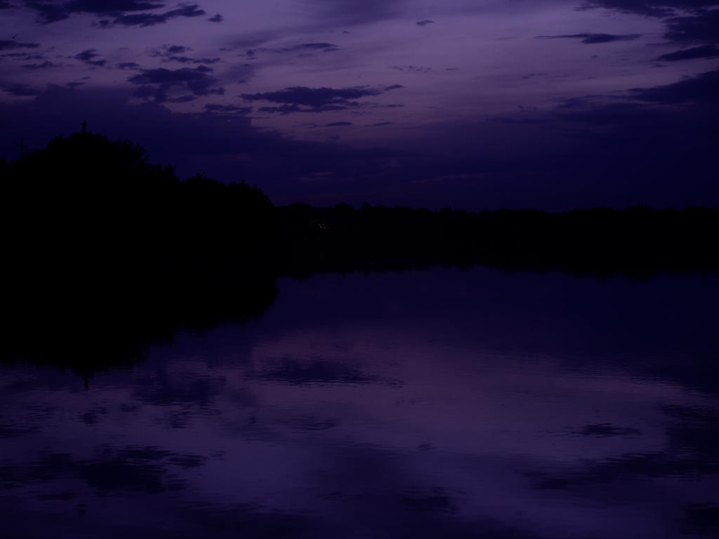 Purpule dawn by the lake stock background