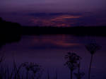 Purpule lake at dawn 2