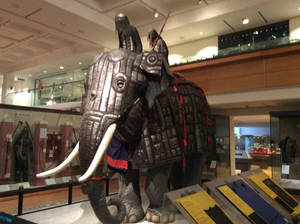 Image armoured military elephant