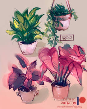 Plants everywhere
