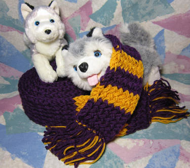 UW Washington Huskies Scarf for Jim