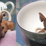 Dormouse Prop for Smiling-Moon