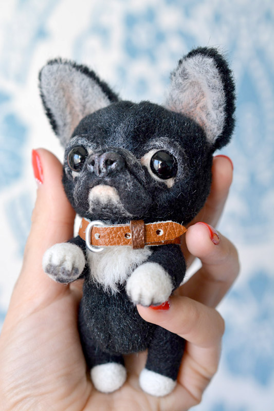 French bulldog