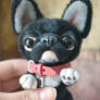 French bulldog with a pink collar