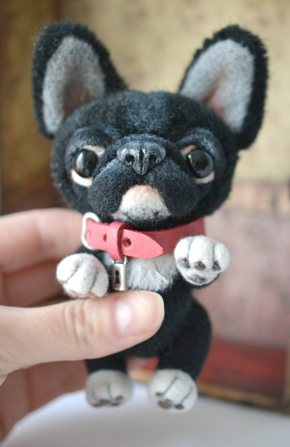 French bulldog with a pink collar