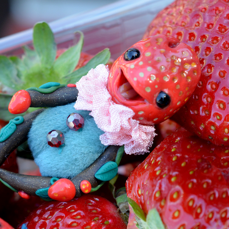 Pick your own strawberry! Still warm from the sun!