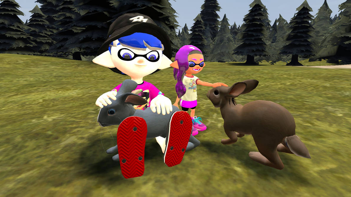 Cute Rabbit by symonjoestar on DeviantArt