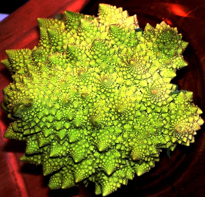 fractal vegetable