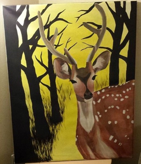 Deer