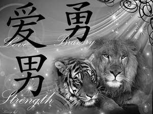 Lion and tiger background