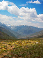 Deosai National Park