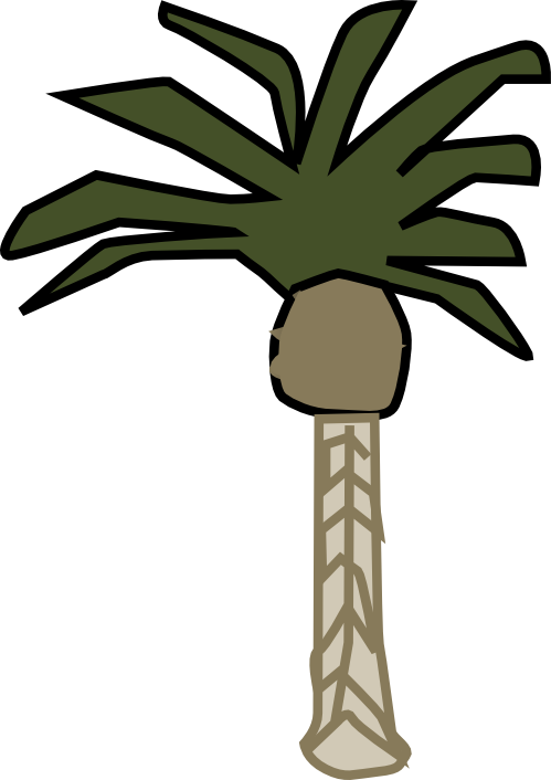 Palm tree