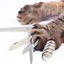 Cat swiss army knife